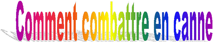 Comment combattre en canne
