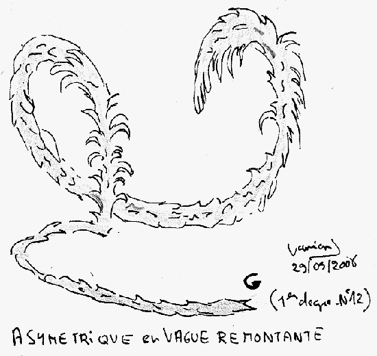 pour visualiser l'image aller sur savate-canne.com