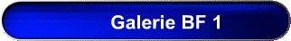 Galerie BF 1